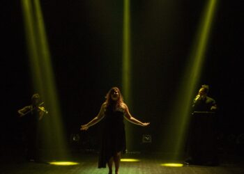 قبيلة المالفيني