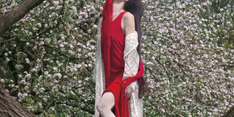 Le Papillon et le fil rouge