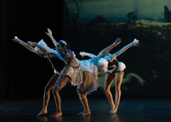 3D بحيرة البجع