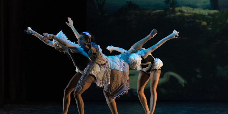 Le Lac des cygnes 3D